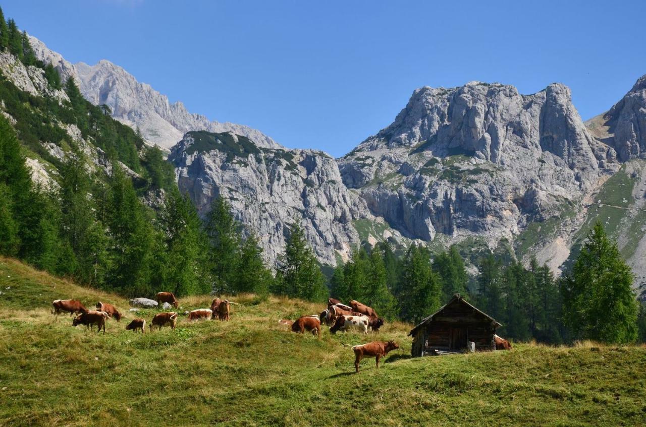 Apartma Pr Gatej Bohinj Esterno foto